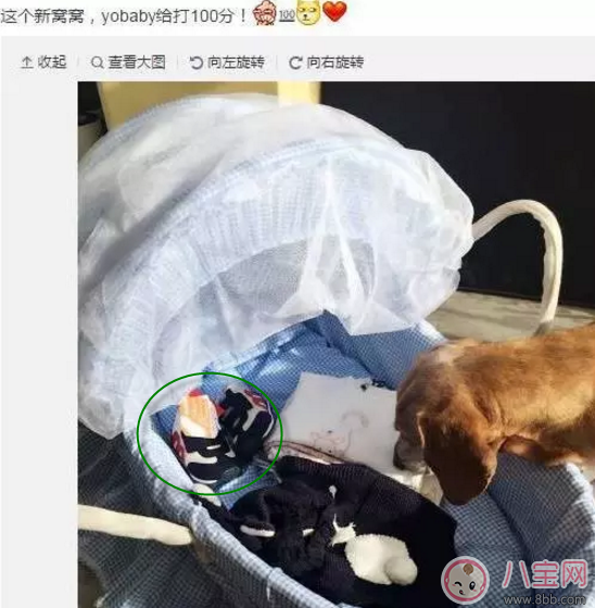 一句暗示懷孕的句子暗示懷孕朋友圈說說 明星暗示懷孕怎么發【多圖】