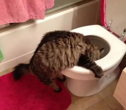 暗示懷孕的創(chuàng)意可愛圖片 朋友圈暗示懷孕1+1=3的圖片