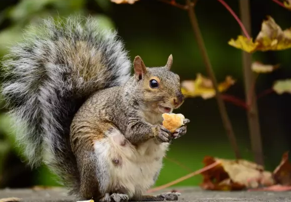 暗示懷孕的創(chuàng)意可愛圖片 朋友圈暗示懷孕1+1=3的圖片
