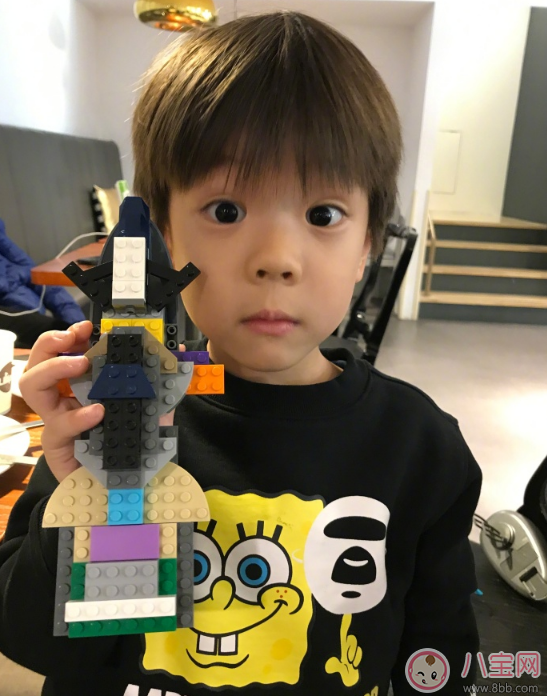 霍思燕給嗯哼玩樂高 孩子玩樂高有什么好處 霍思燕給嗯哼玩樂高 孩子玩樂高有什么好處