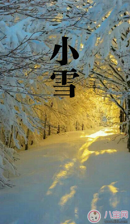 2017關于小雪節氣的圖片 小雪節氣發什么朋友圈好