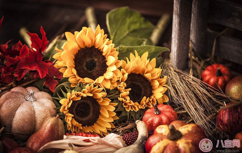 感恩節(jié)感謝老婆說說朋友圈 感恩節(jié)給老婆的短信祝福朋友圈