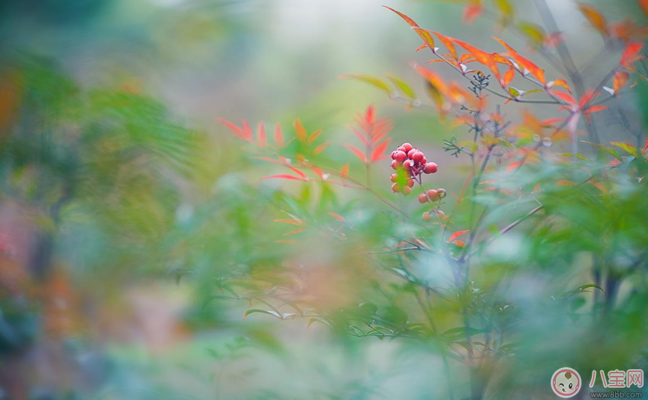 今日小雪的說(shuō)說(shuō) 今日小雪搞笑朋友圈說(shuō)說(shuō)怎么發(fā)