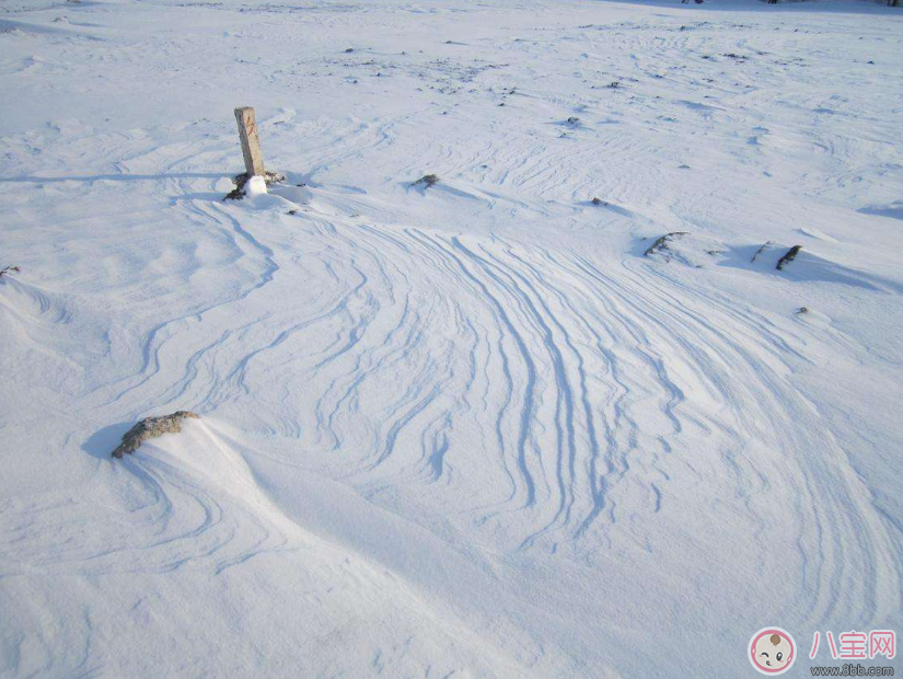 今日小雪的說(shuō)說(shuō) 今日小雪搞笑朋友圈說(shuō)說(shuō)怎么發(fā)