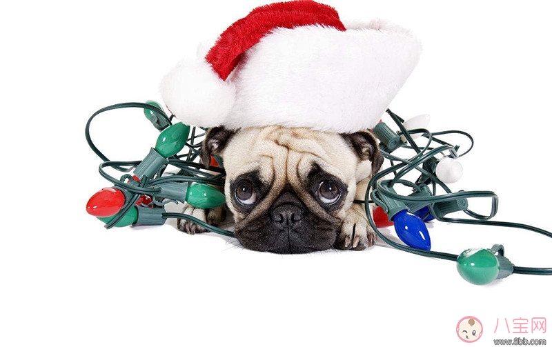 圣誕節搞笑說說短語朋友圈 圣誕節圖片說說朋友圈 圣誕節搞笑說說短語朋友圈 圣誕節圖片說說朋友圈