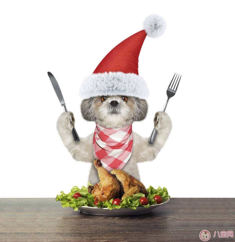 圣誕節搞笑說說短語朋友圈 圣誕節圖片說說朋友圈 圣誕節搞笑說說短語朋友圈 圣誕節圖片說說朋友圈