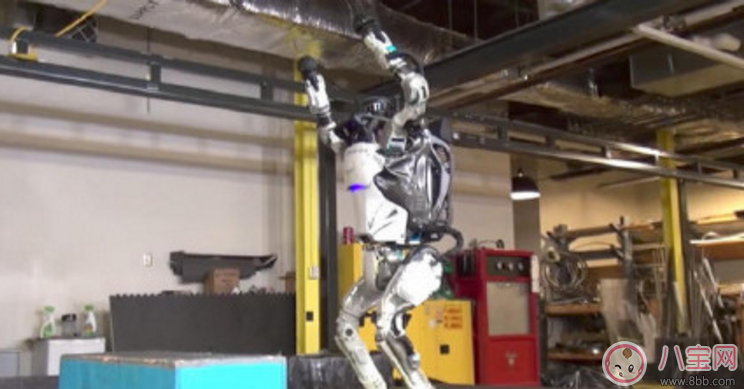 本科有AI專業嗎 國內什么時候會有本科ai專業 本科有AI專業嗎 國內什么時候會有本科ai專業