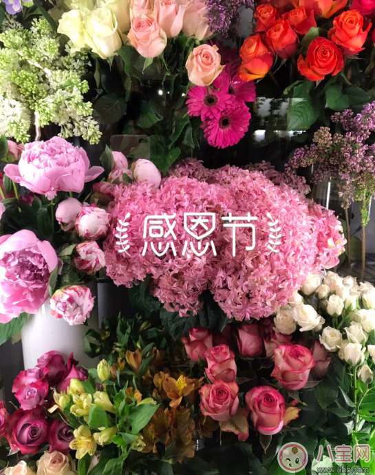 2017感恩節表達感恩的句子 感恩節發朋友圈感恩語句