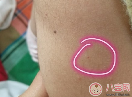 紅黃藍(lán)幼兒園虐童事件是不是真的 紅黃藍(lán)幼兒園虐童事件背后隱情