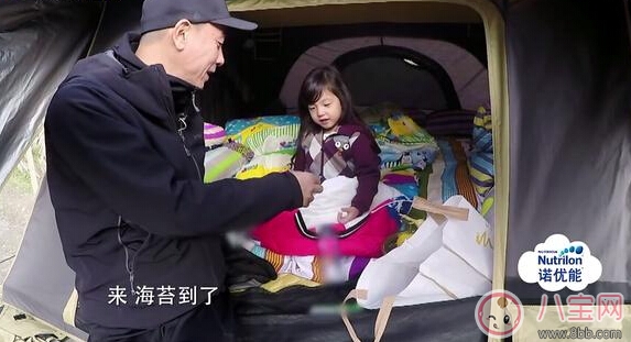 應(yīng)采兒自爆備孕二胎  軟萌Jasper會失寵嗎