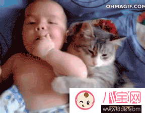 不讓小主人碰烤箱的貼心喵 寶寶適合跟貓一起玩嗎 不讓小主人碰烤箱的貼心喵 寶寶適合跟貓一起玩嗎