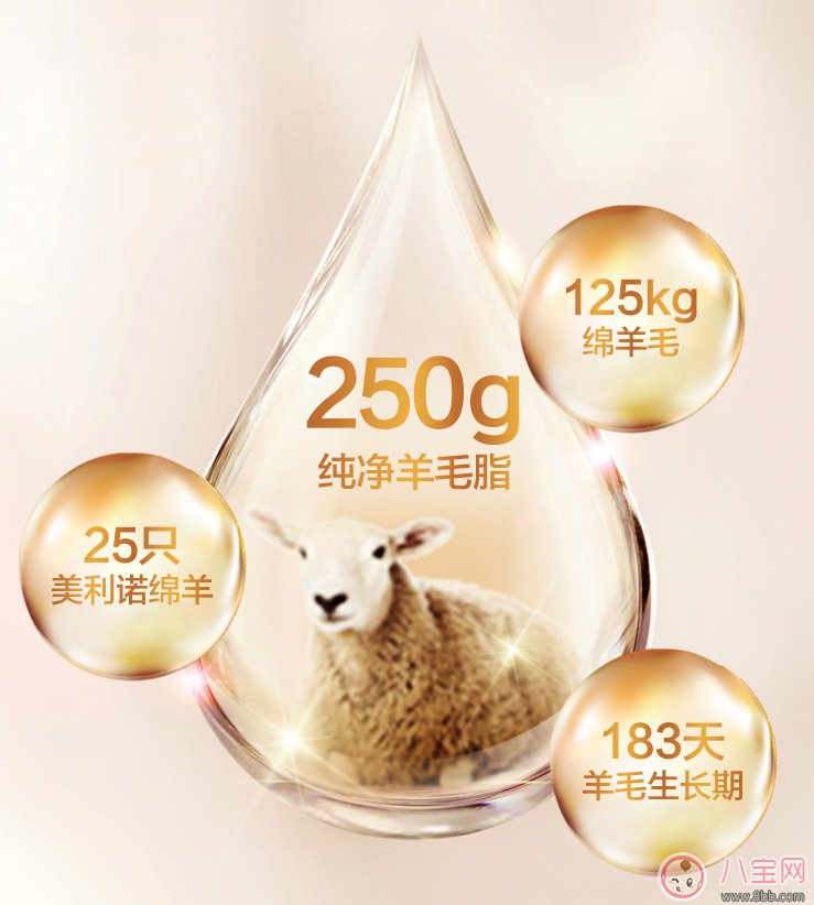 澳芝曼綿羊脂滋潤日霜怎么樣 澳芝曼綿羊脂滋潤日霜試用測評