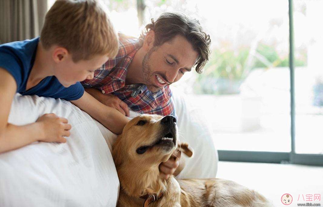 怎么了解孩子的行為習慣   如何發現孩子的異常