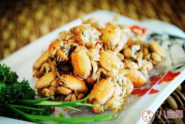 海知了圖片 青島海知了高清實物圖 海知了圖片 青島海知了高清實物圖