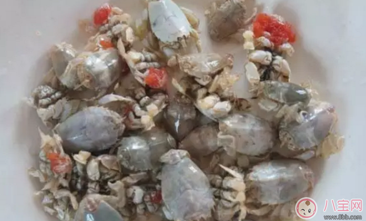 海知了多少錢一斤 哪里可以買到青島海知了