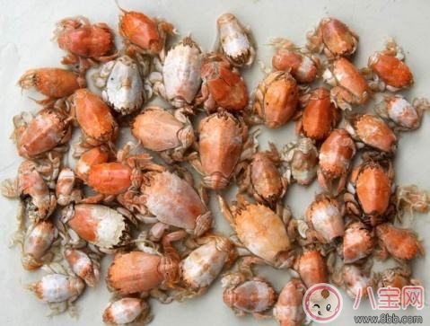 海知了的做法 海知了怎么做好吃 海知了的做法 海知了怎么做好吃