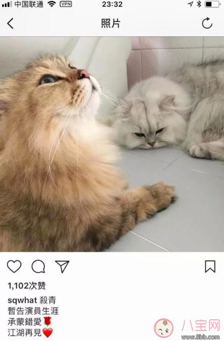 舒淇為什么要暫告演員生涯  舒淇是懷孕了才要暫告演員生涯嗎