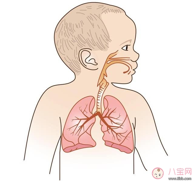 肺炎會傳染嗎 為什么小孩子得了肺炎最好要隔離