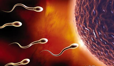 男性精子成活率低是什么原因 精子成活率低怎么治療