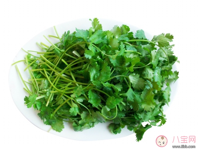 冬季天氣冷就要去吃火鍋 吃火鍋必須點的菜