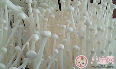 冬季天氣冷就要去吃火鍋 吃火鍋必須點的菜