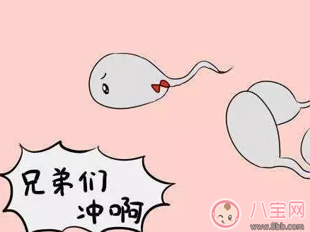 男性備孕營養食譜 男性生男孩的健康飲食習慣 男性備孕營養食譜 男性生男孩的健康飲食習慣