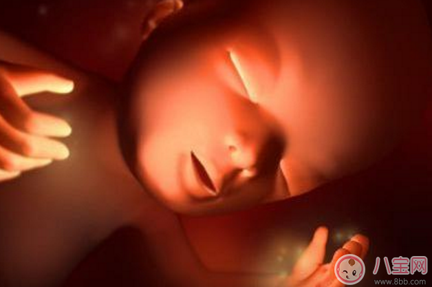 帶寶寶擔心經濟更不上怎么辦 要不要和孩子說家里條件不好