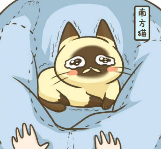 北方人在南方過冬說說心情 南方的冬天到底有多冷發(fā)朋友圈圖片