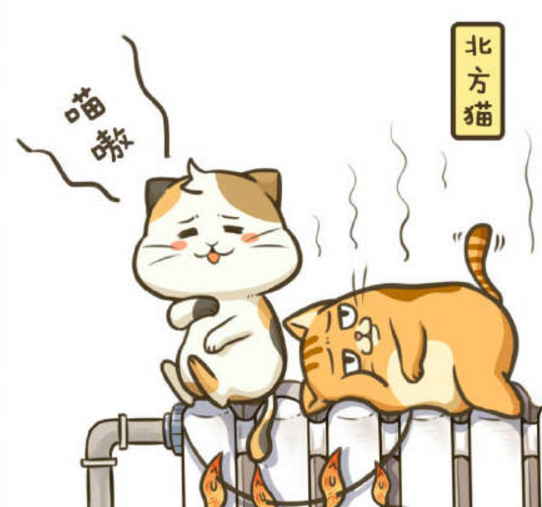 北方人在南方過冬說說心情 南方的冬天到底有多冷發(fā)朋友圈圖片