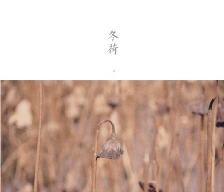 北方人在南方過冬說說心情 南方的冬天到底有多冷發(fā)朋友圈圖片