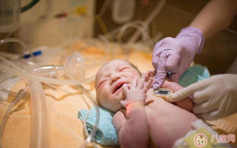 侯佩岑小兒子病情嚴重嗎 為什么寶寶不能服用維生素K3藥品 侯佩岑小兒子病情嚴重嗎 為什么寶寶不能服用維生素K3藥品