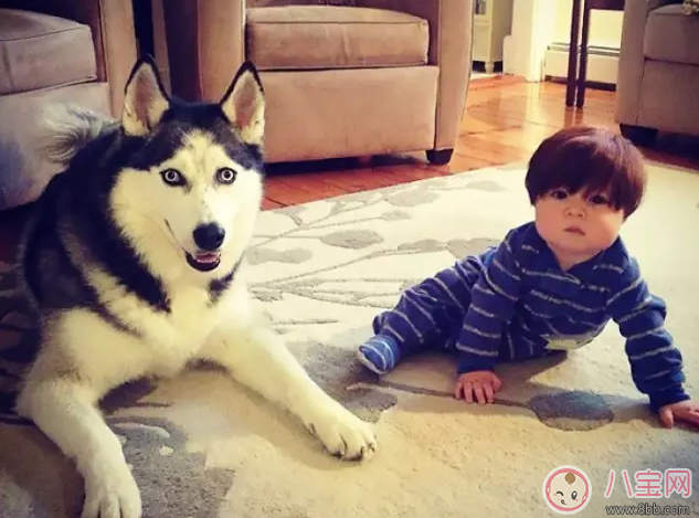 寶寶頭發剪丑了的心情說說朋友圈 寶寶頭發剪丑了幽默說說 寶寶頭發剪丑了的心情說說朋友圈 寶寶頭發剪丑了幽默說說