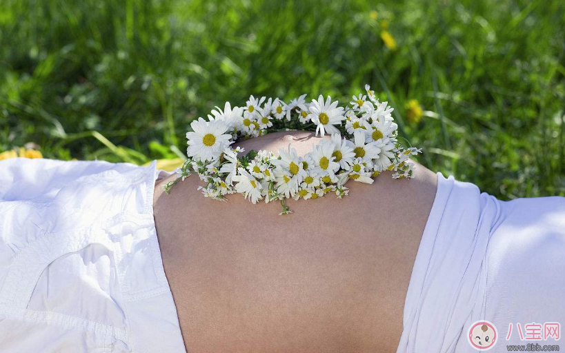 孕期可以插花胎教嗎  孕婦什么時候連插花胎教