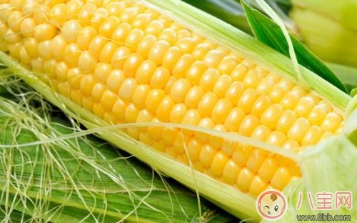 月子飲食分階段進補 女性月子食譜推薦 月子飲食分階段進補 女性月子食譜推薦