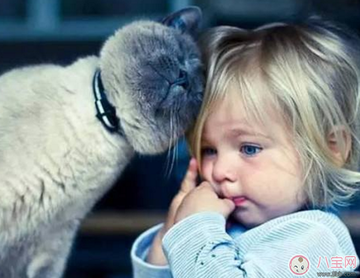 看著孩子長大了的心情說說 看著孩子長大了感概發朋友圈