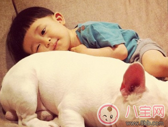 2018狗年寶寶起名用什么字好  有哪些字適合狗年寶寶用