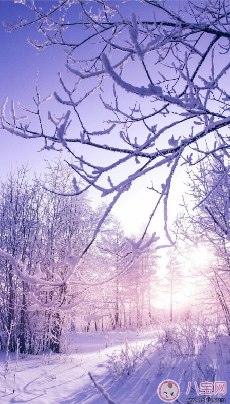 冬天早安問候語剪短一句話 冬季問候語朋友圈說說發什么好 冬天早安問候語剪短一句話 冬季問候語朋友圈說說發什么好