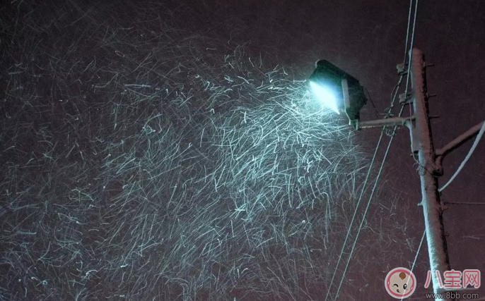 冬天早安問候語剪短一句話 冬季問候語朋友圈說說發什么好 冬天早安問候語剪短一句話 冬季問候語朋友圈說說發什么好