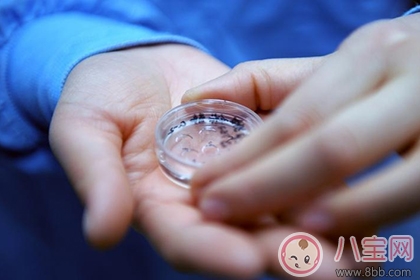 卵子質量差的原因是什么 卵子質量差怎么調理 卵子質量差的原因是什么 卵子質量差怎么調理