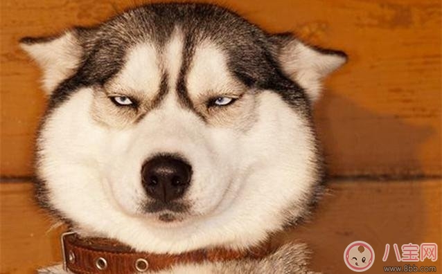 兩性接吻技巧 接吻前要做的準備工作