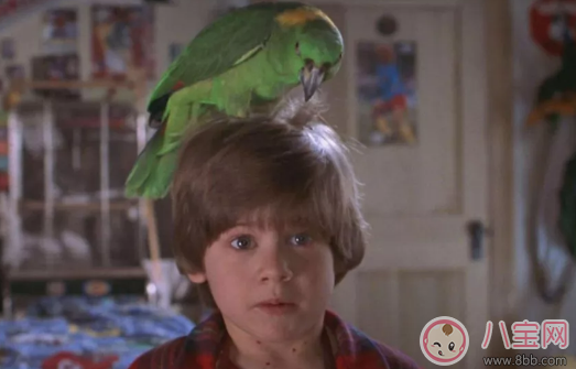 有寶寶后老婆對自己不滿怎么辦 有孩子后爸爸應該怎么做 有寶寶后老婆對自己不滿怎么辦 有孩子后爸爸應該怎么做