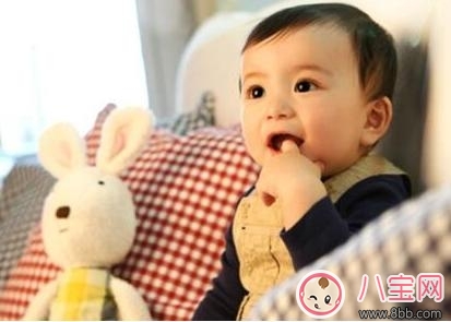 2018春節出生的寶寶起什么名字好  春節出生的寶寶宜用哪些字