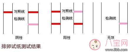 排卵試紙使用方法圖解 排卵試紙強(qiáng)陽后什么時候排卵 排卵試紙使用方法圖解 排卵試紙強(qiáng)陽后什么時候排卵