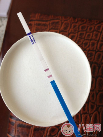 排卵試紙使用方法圖解 排卵試紙強(qiáng)陽后什么時候排卵 排卵試紙使用方法圖解 排卵試紙強(qiáng)陽后什么時候排卵