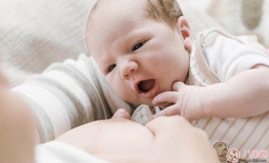 吃海鮮喂母乳寶寶會過敏嗎 哺乳期最好吃什么 吃海鮮喂母乳寶寶會過敏嗎 哺乳期最好吃什么