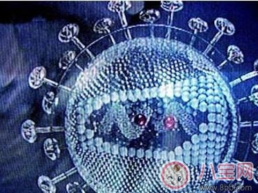 吃草莓會感染諾如病毒是真的嗎 孩子吃草莓一定要注意這些