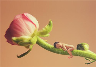 歡迎新生命的到來心情說說  新生命誕生喜悅的句子說說朋友圈