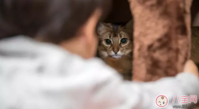 孩子過敏起疙瘩掛什么科 孩子過敏看什么醫(yī)生好