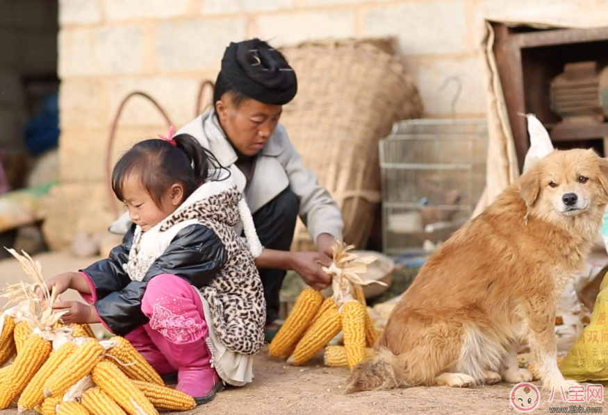 兒子懂事的句子發朋友圈 兒子懂事了家長的感言 兒子懂事的句子發朋友圈 兒子懂事了家長的感言