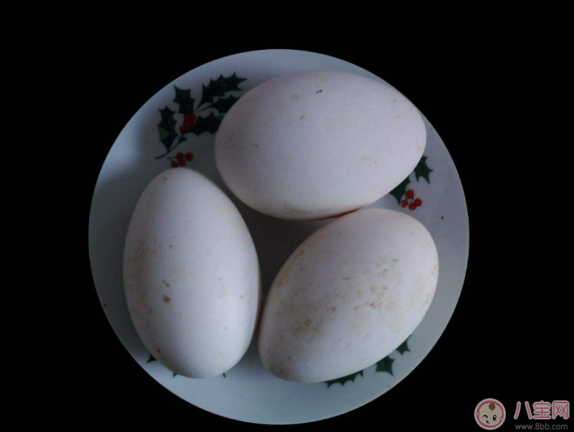 懷孕吃鵝蛋能去黃疸嗎 懷孕吃鵝蛋會有什么好處
